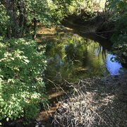 Le long du ruisseau Talent